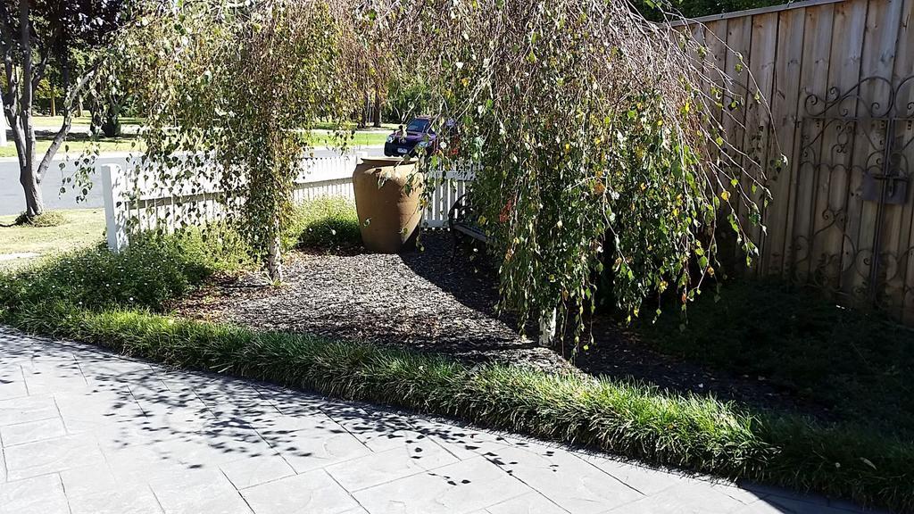 Creek Cottage Bed And Breakfast Traralgon Eksteriør billede